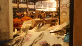 Jan Christian Altmann