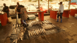 Jan Christian Altmann