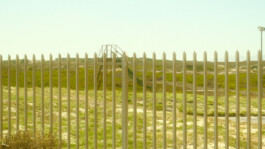 Jan Christian Altmann