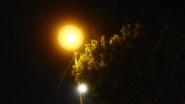 Jan Christian Altmann